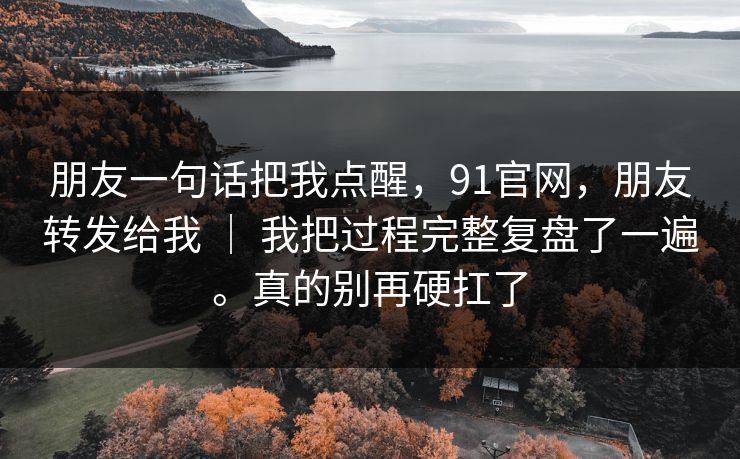 朋友一句话把我点醒，91官网，朋友转发给我 ｜ 我把过程完整复盘了一遍。真的别再硬扛了
