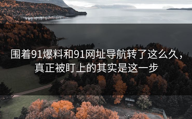围着91爆料和91网址导航转了这么久，真正被盯上的其实是这一步